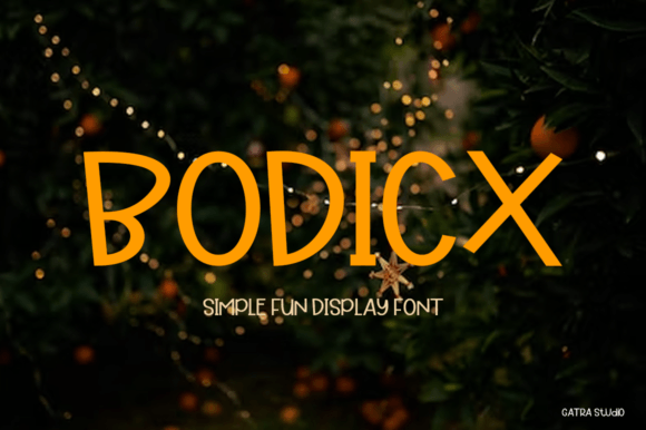 Bodicx: A Modern Display Font That Lifts Your Web Design