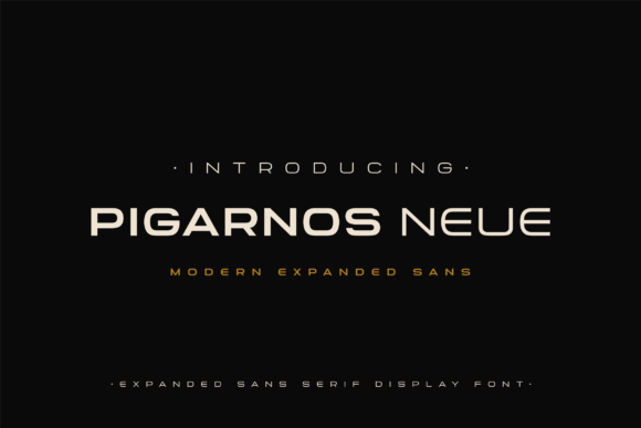 Pigarnos Neue: A Modern Display Font for Editorial Impact